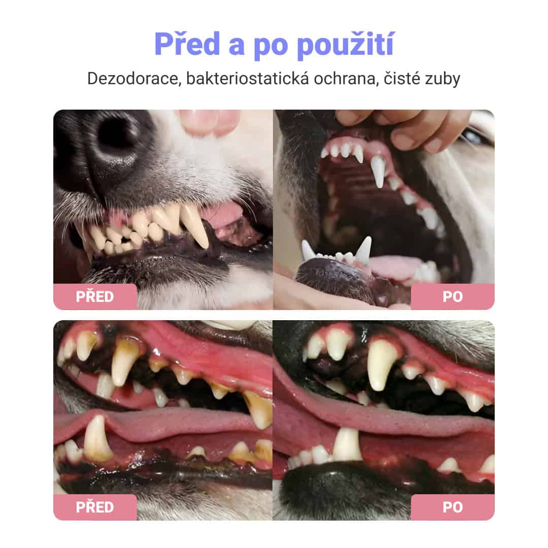 ÚSTNÍ SPREJ PRO DOMÁCÍ MAZLÍČKY 1+1 ZDARMA - Obrázek 2