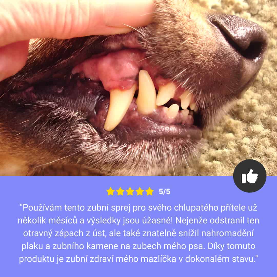 ÚSTNÍ SPREJ PRO DOMÁCÍ MAZLÍČKY 1+1 ZDARMA - Obrázek 5